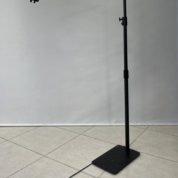 مونلایت سی کارو - Image 6